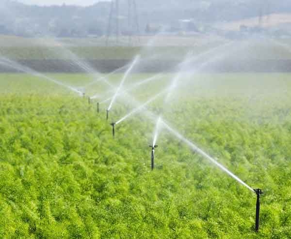 果园灌溉设备