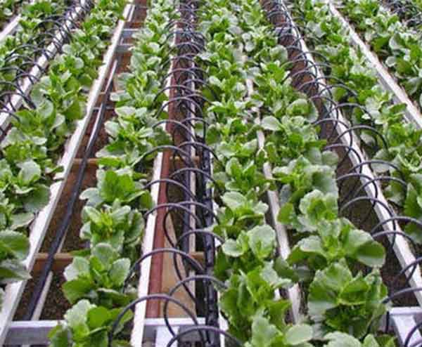 果园灌溉设备批发价格